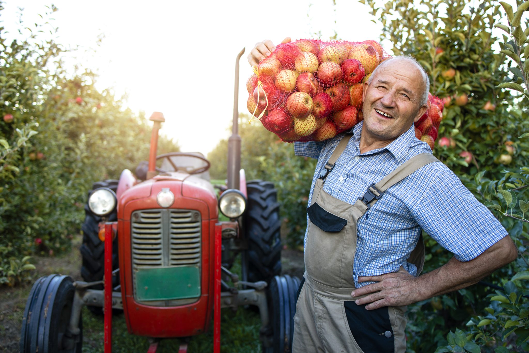 agriculteurs célibataires